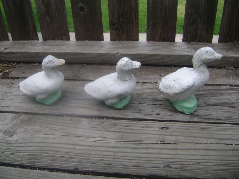 Free stock image of Ducks in a row created by Lokigrl616
