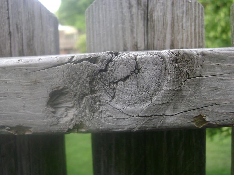 Free stock image of Wooden knot created by Lokigrl616
