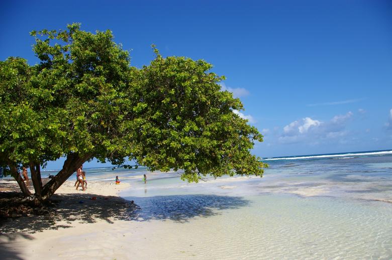 Free stock image of The beach created by frhuynh