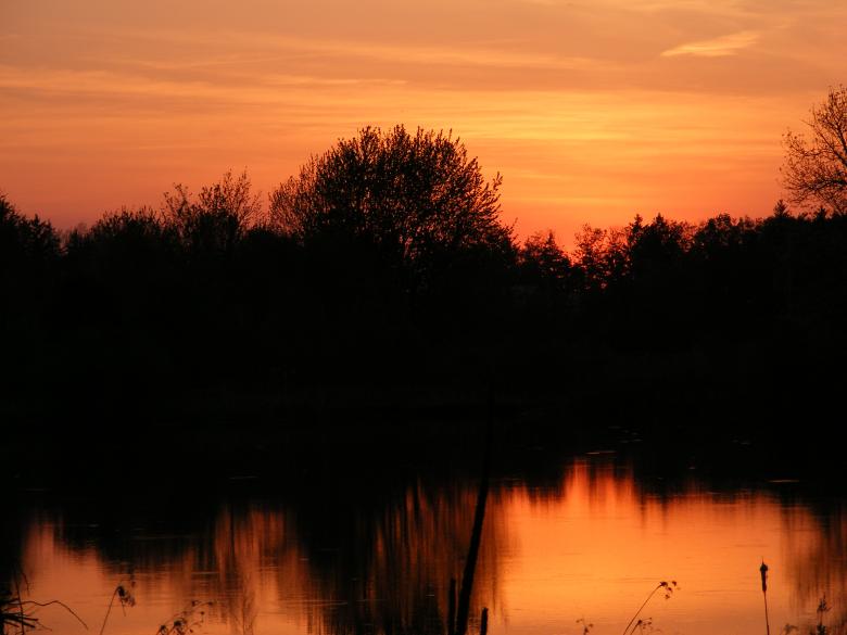 Free stock image of Sunset created by Corey Hughes