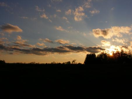 Sunset - Free Stock Photo