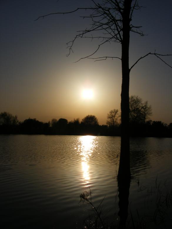 Free stock image of Sunset created by Corey Hughes