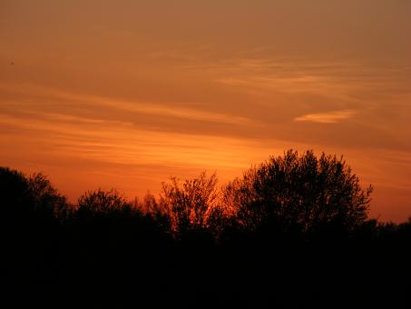 Sunset - Free Stock Photo