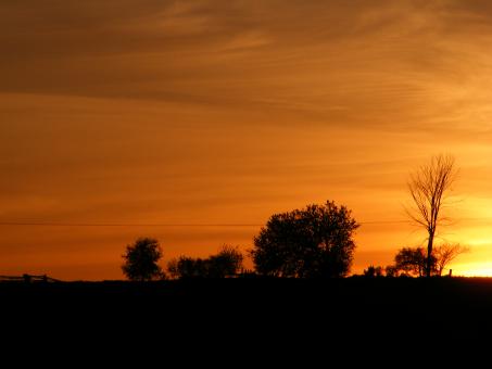 Sunset - Free Stock Photo