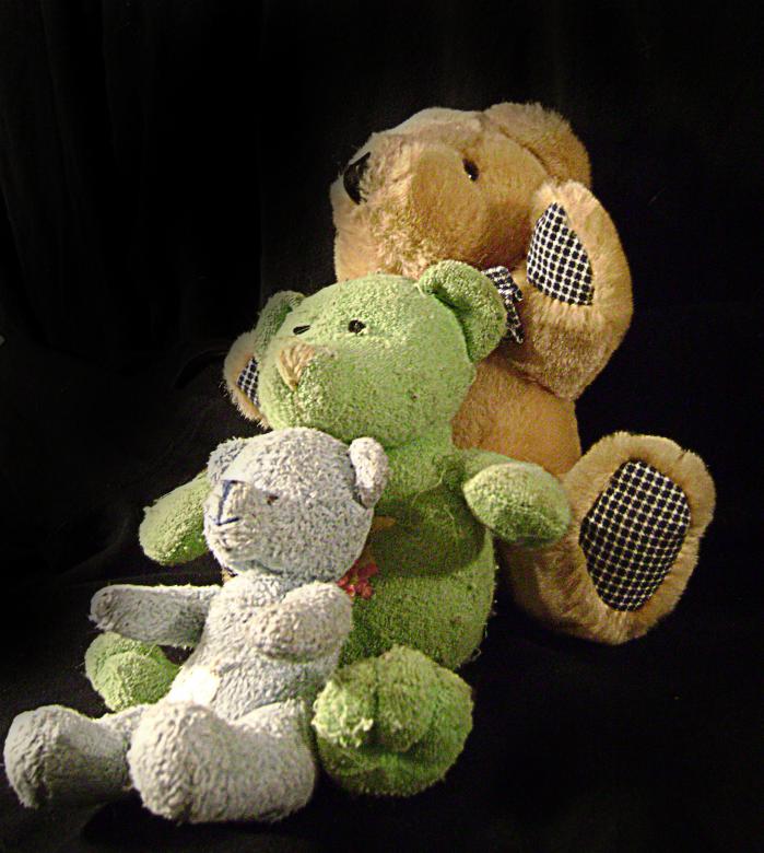 Free stock image of Teddy Tea created by Lokigrl616