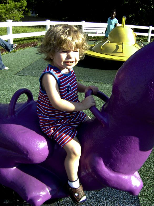 Free stock image of Ride the Dinosaur created by Lokigrl616