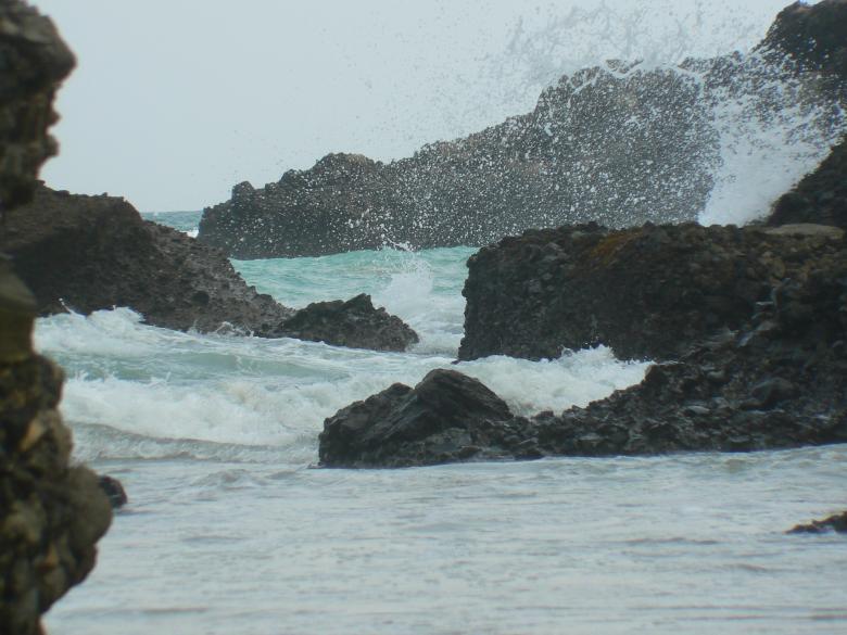 Free stock image of Beach life created by michael w. giddens
