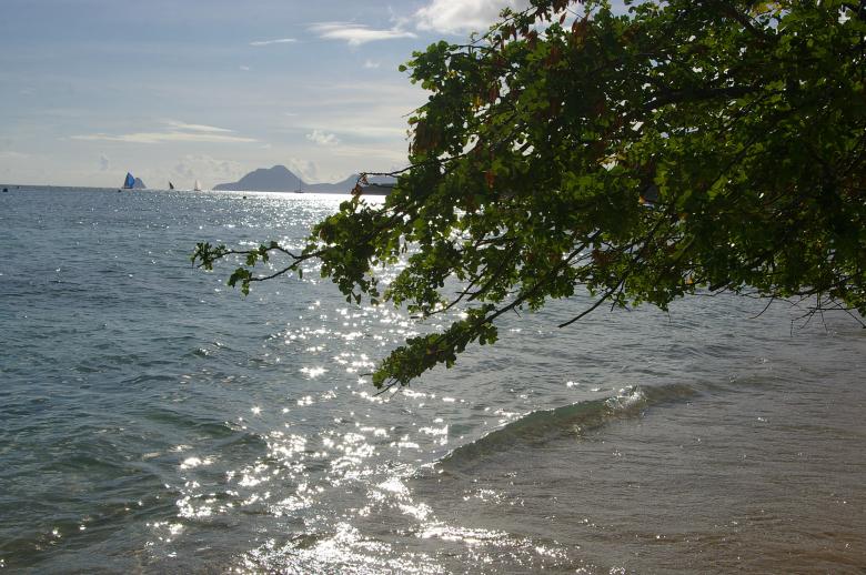 Free stock image of View of the beach created by frhuynh