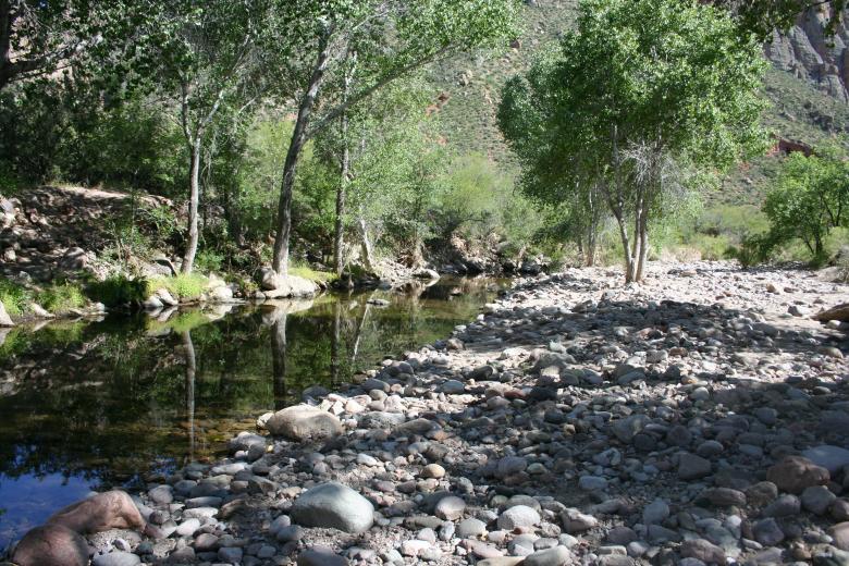 Free stock image of Beautiful Arizona created by thejazzcat