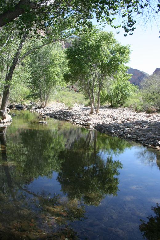 Free stock image of Beautiful Arizona created by thejazzcat