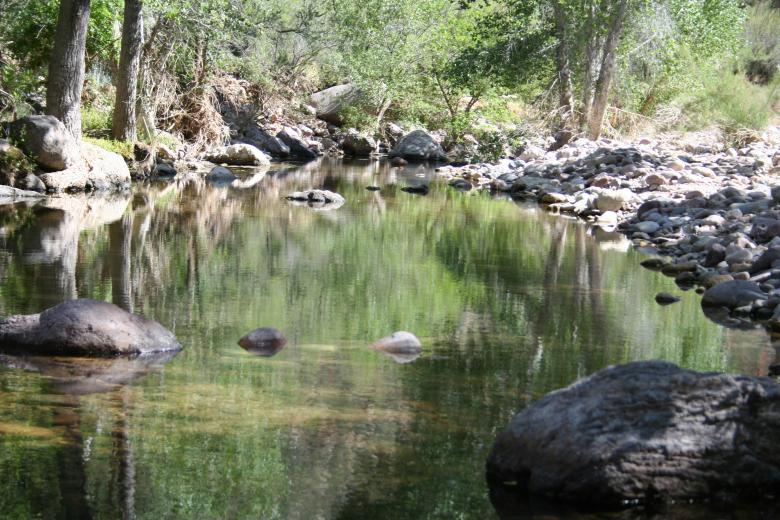 Free stock image of Arizona Beauty created by thejazzcat