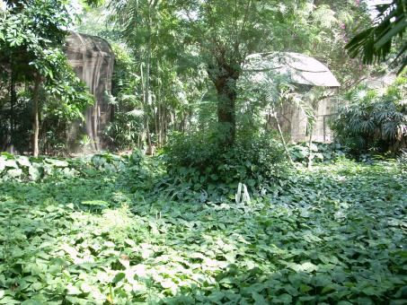 Surabaya Zoo
