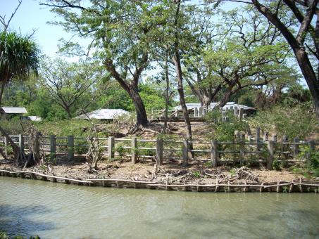 Surabaya Zoo