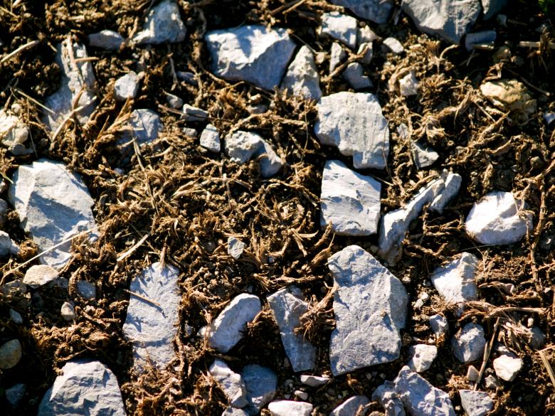 Free stock image of Rock Texture created by Alen