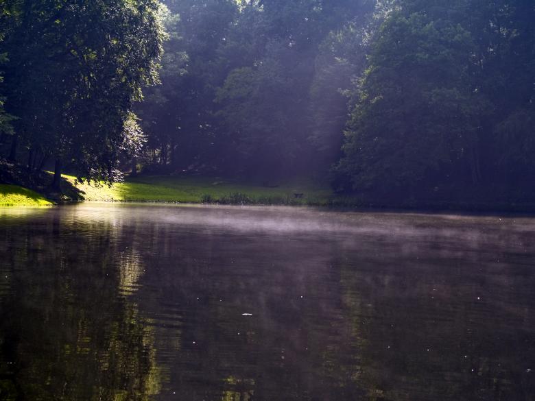 Free stock image of Water in woods created by Alen