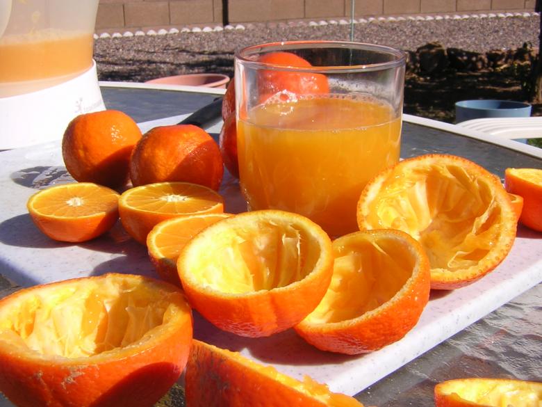 Free stock image of Fresh squeezed orange juice created by thejazzcat