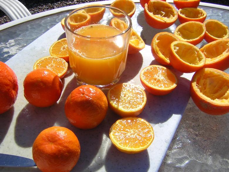 Free stock image of Fresh squeezed orange juice created by thejazzcat