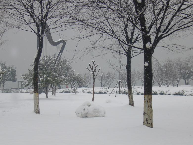 Free stock image of Heavy snow in the pines created by chaofenping