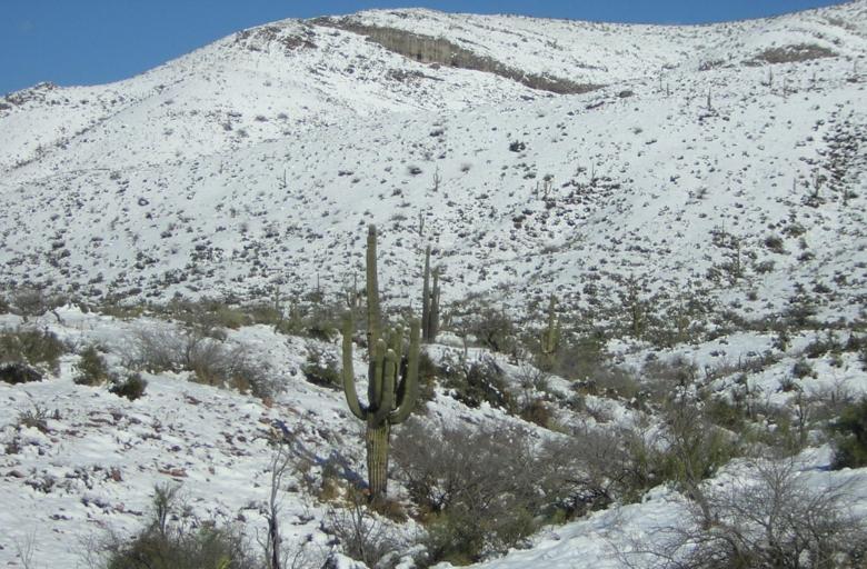 Free stock image of Arizona snow created by thejazzcat
