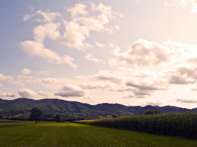 Free stock image of Geen field created by Alen