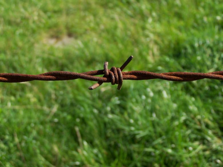 Free stock image of Barbed wire created by Marc