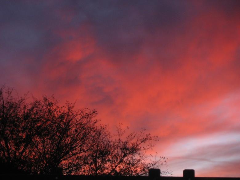 Free stock image of Pink Dusk created by Cameo Carroll