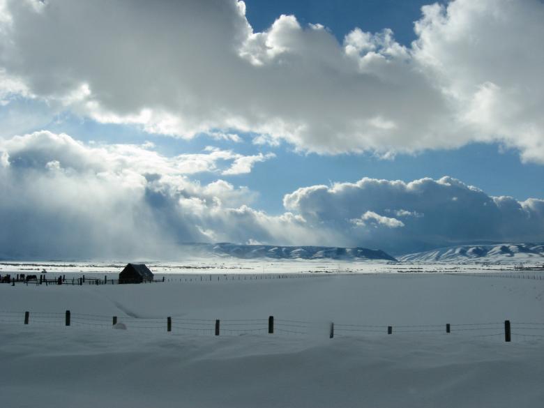 Free stock image of Winter Colors created by Dragomir Bogomilov