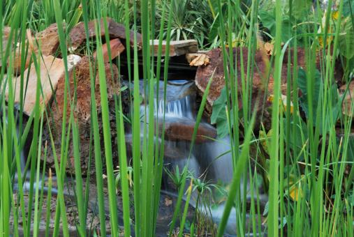 Garden Waterfalls - Free Stock Photo