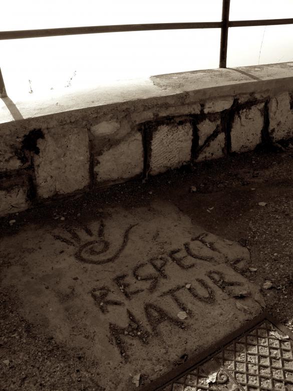 Free stock image of Respect nature created by Furio Franceschinel