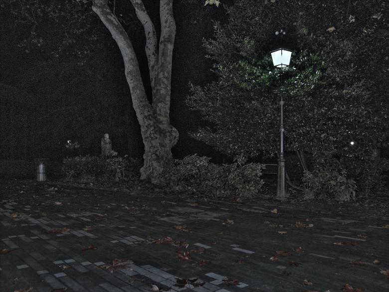 Free stock image of Night in the city park created by Furio Franceschinel