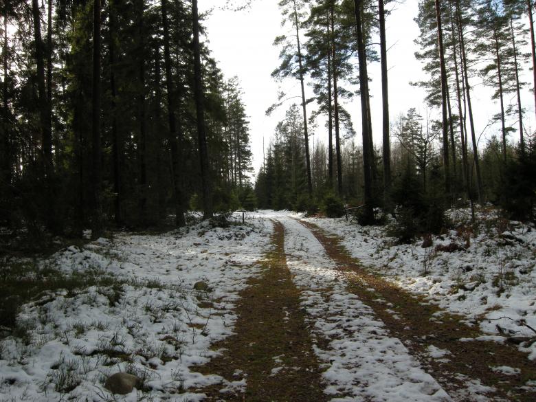 Free stock image of Winter 2008 created by Lucia Maciel