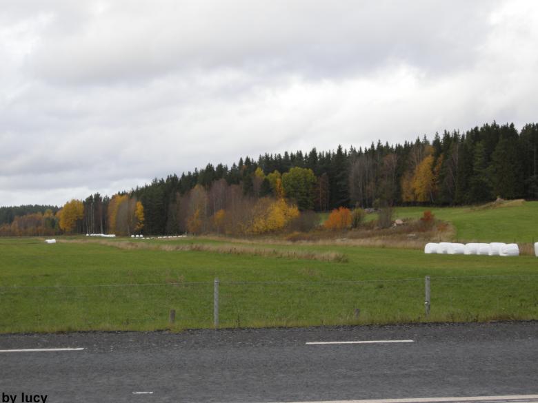 Free stock image of Fall 2008 in Sweden created by Lucia Maciel