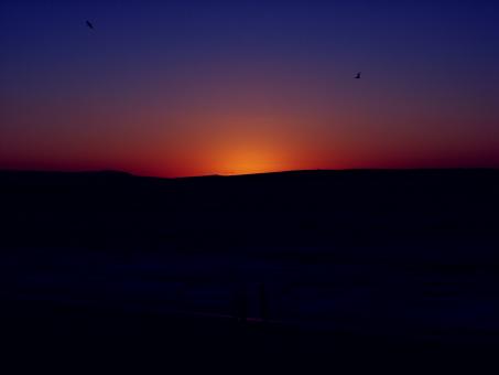 Sun Glow - Free Stock Photo
