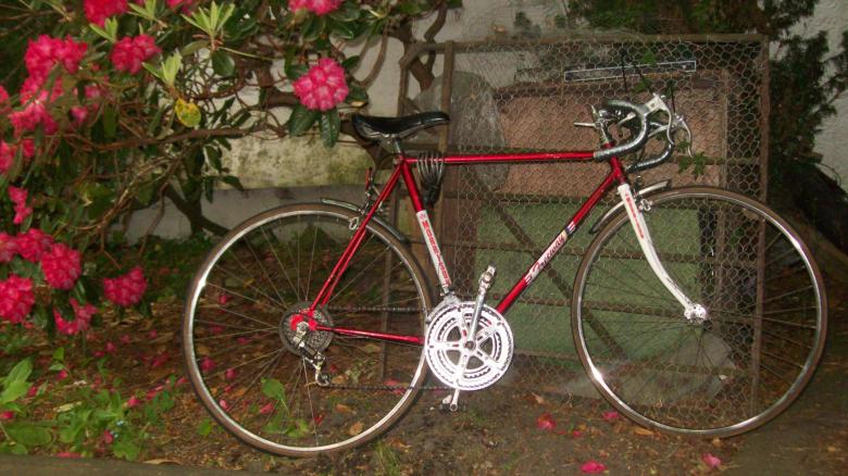 Free stock image of Morrison 10 Speed Bike created by Peter Alexander Robb