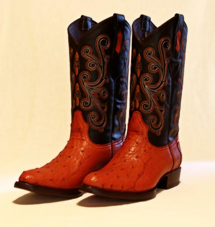 Free stock image of New exotic boots created by homero chapa
