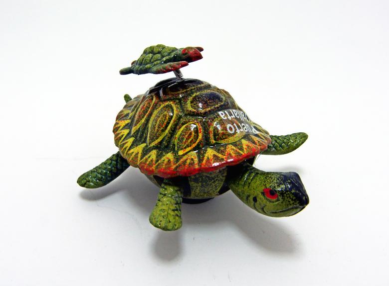 Free stock image of Green turtle created by homero chapa