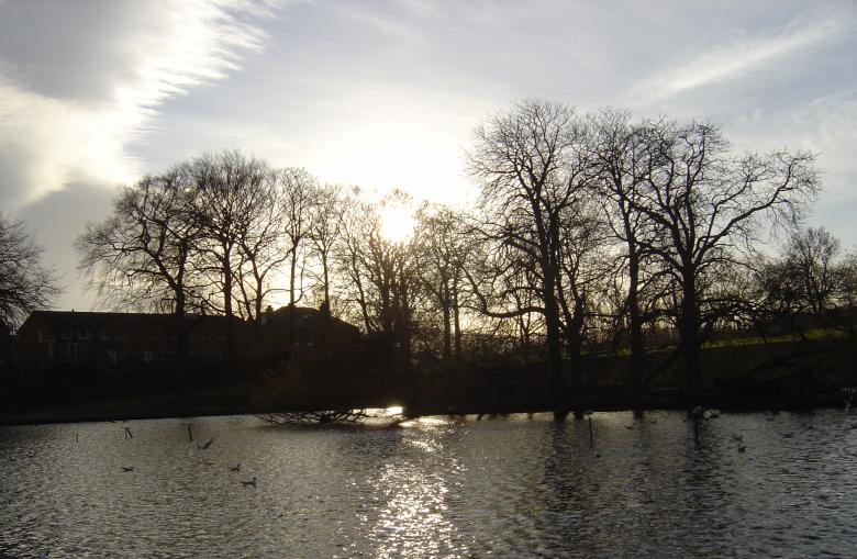 Free stock image of Winter At Hillsborough Park created by vintageangelme08