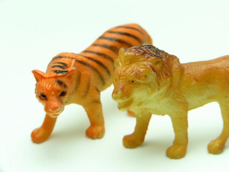 Free stock image of Tiger and lion created by homero chapa