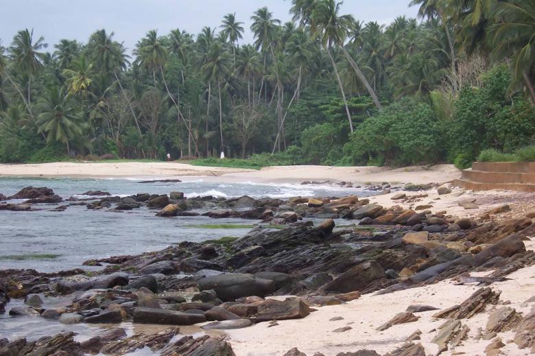 Free stock image of Beach Sri Lanka created by Sahan Ishara