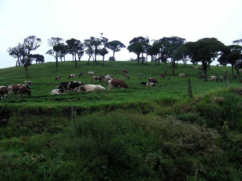 Free stock image of Country scene created by Sahan Ishara