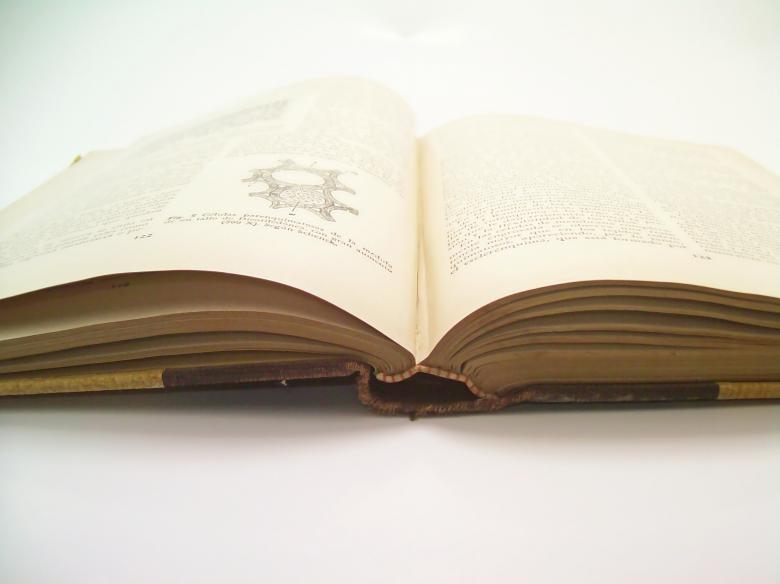 Free stock image of Book created by homero chapa