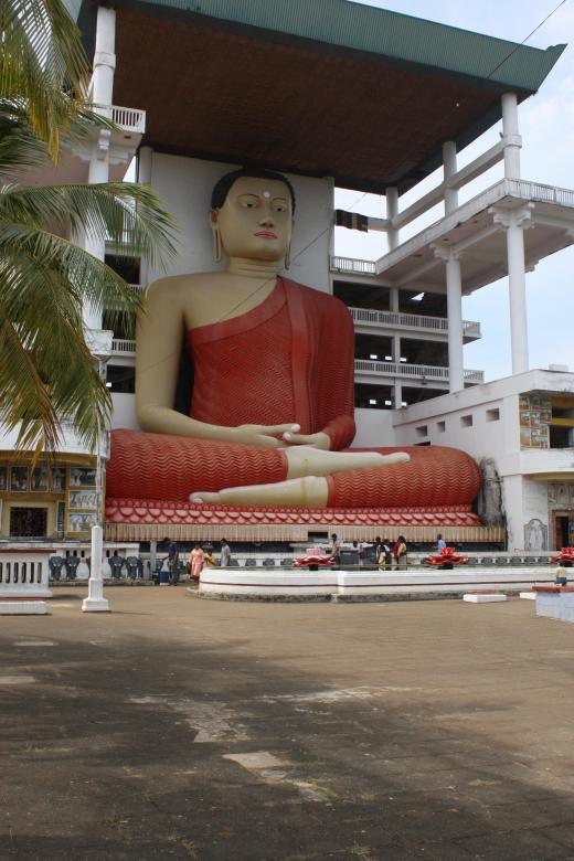 Free stock image of Weherahena - Sri Lanka created by Sahan Ishara