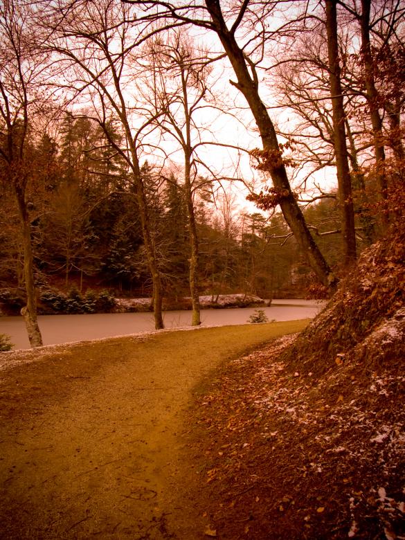 Free stock image of Path created by Alen