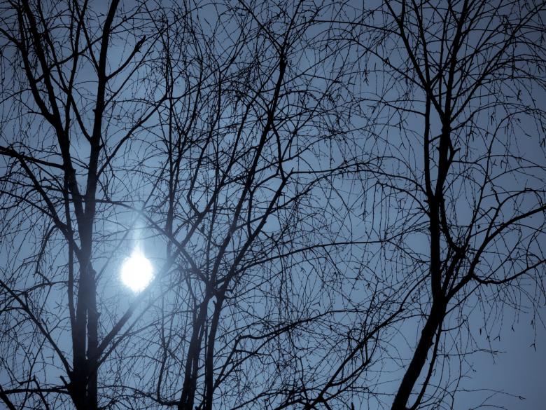 Free stock image of Morning Sun created by Alen