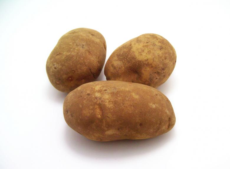 Free stock image of Potatoes created by homero chapa