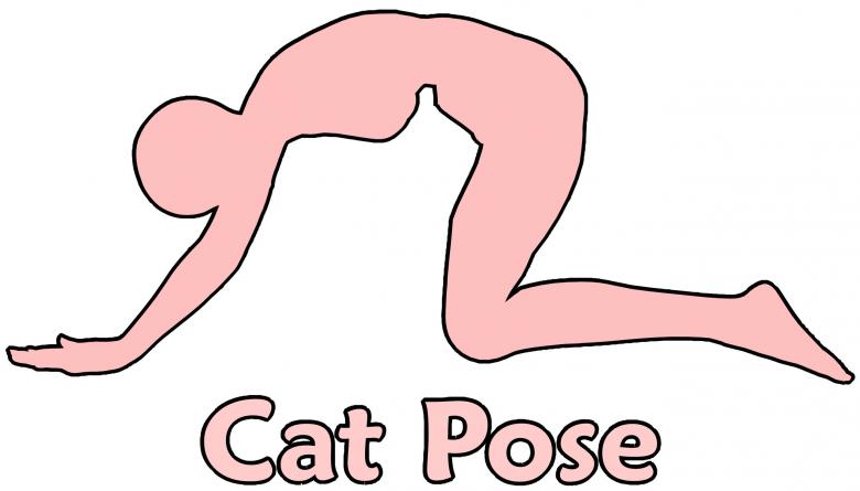 Free stock image of Cat Pose created by massagenerd