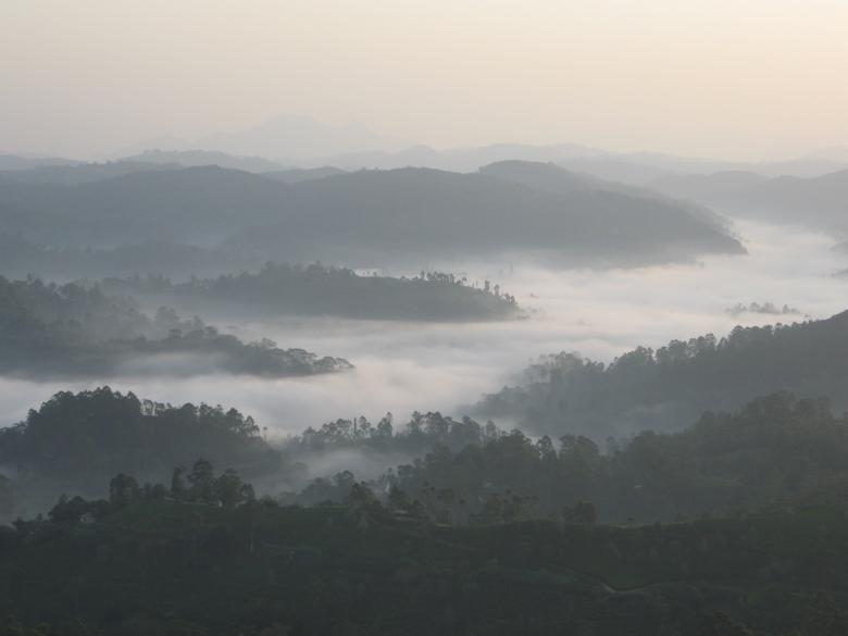 Free stock image of Fog created by Nirodha Abeywardana