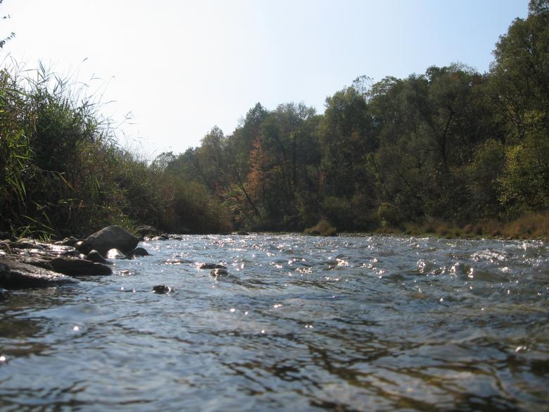 Free stock image of River created by Brad