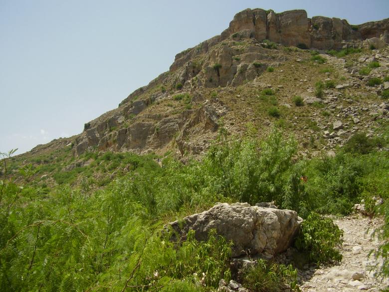 Free stock image of Nature created by Ali Haider