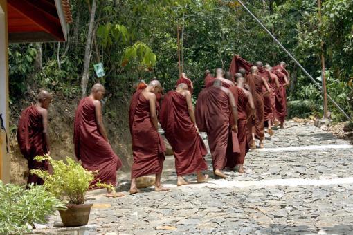 Sri lanka Monks - Free Stock Photo